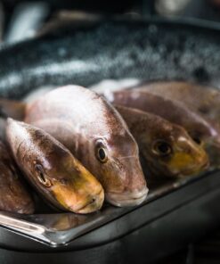 FISCHKOCHKURS mit Sommelier